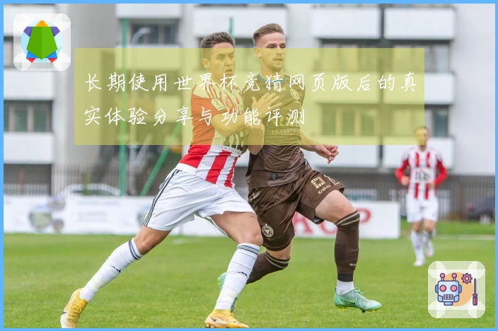 长期使用世界杯竞猜网页版后的真实体验分享与功能评测