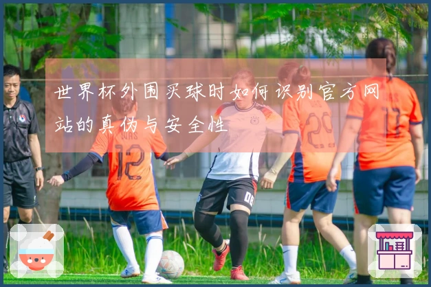 世界杯外围买球时如何识别官方网站的真伪与安全性