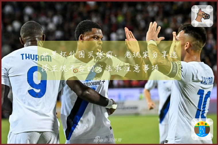 世界杯外围买球前，老玩家分享选择正规平台的方法和注意事项