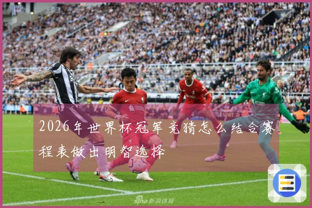 2026年世界杯冠军竞猜怎么结合赛程表做出明智选择