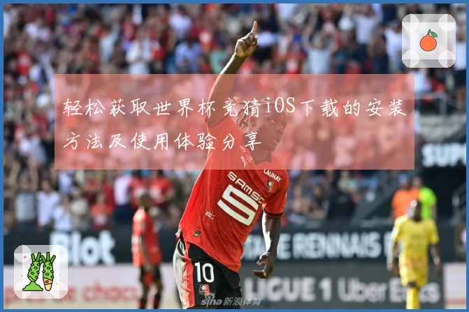 轻松获取世界杯竞猜iOS下载的安装方法及使用体验分享