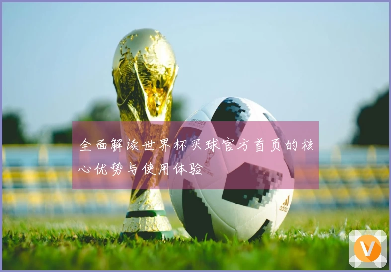 全面解读世界杯买球官方首页的核心优势与使用体验