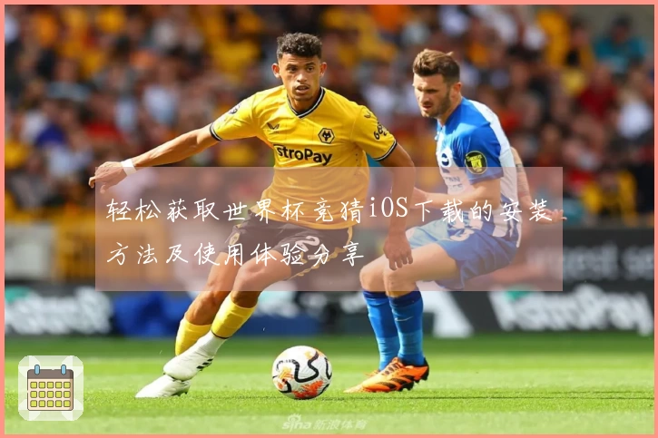 轻松获取世界杯竞猜iOS下载的安装方法及使用体验分享