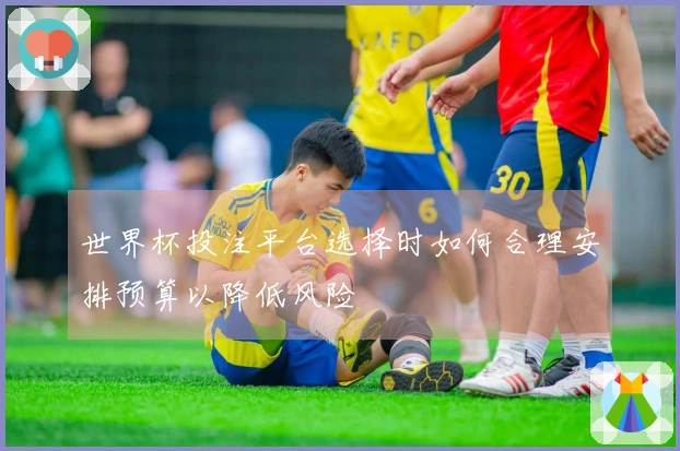 世界杯投注平台选择时如何合理安排预算以降低风险