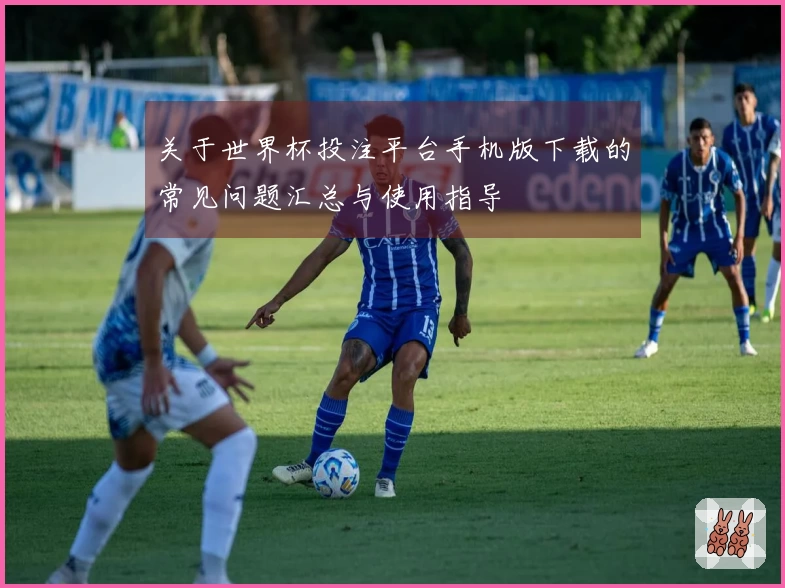 关于世界杯投注平台手机版下载的常见问题汇总与使用指导