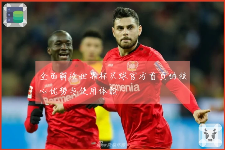 全面解读世界杯买球官方首页的核心优势与使用体验