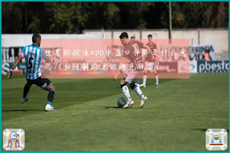 世界杯投注app中盘口升降是什么意思？如何解读才能避免踩雷？