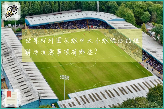 世界杯外围买球中大小球玩法的理解与注意事项有哪些？