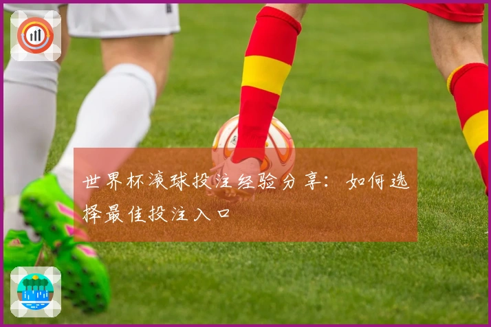 世界杯滚球投注经验分享：如何选择最佳投注入口