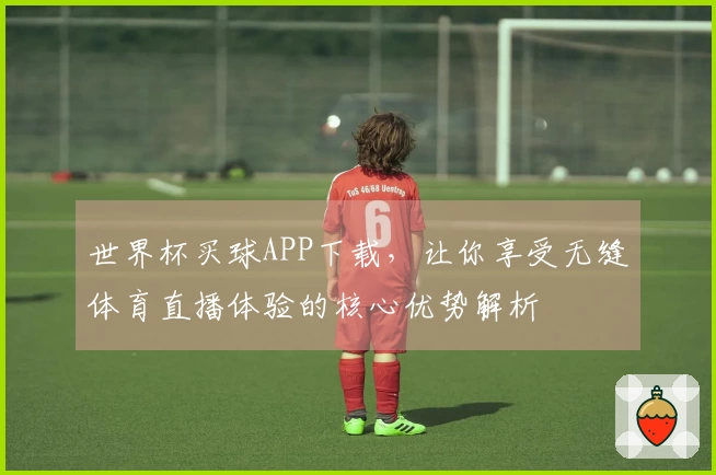 世界杯买球APP下载，让你享受无缝体育直播体验的核心优势解析