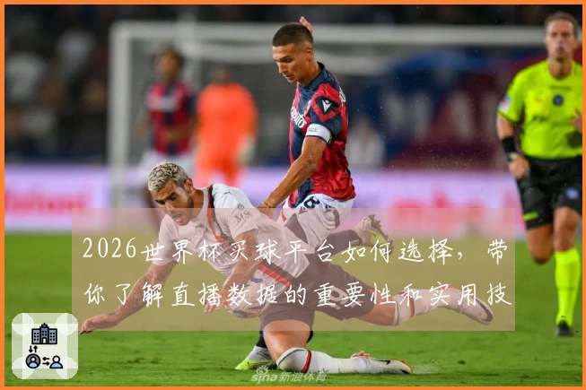2026世界杯买球平台如何选择，带你了解直播数据的重要性和实用技巧