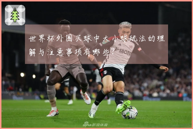 世界杯外围买球中大小球玩法的理解与注意事项有哪些？