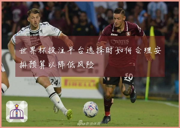 世界杯投注平台选择时如何合理安排预算以降低风险