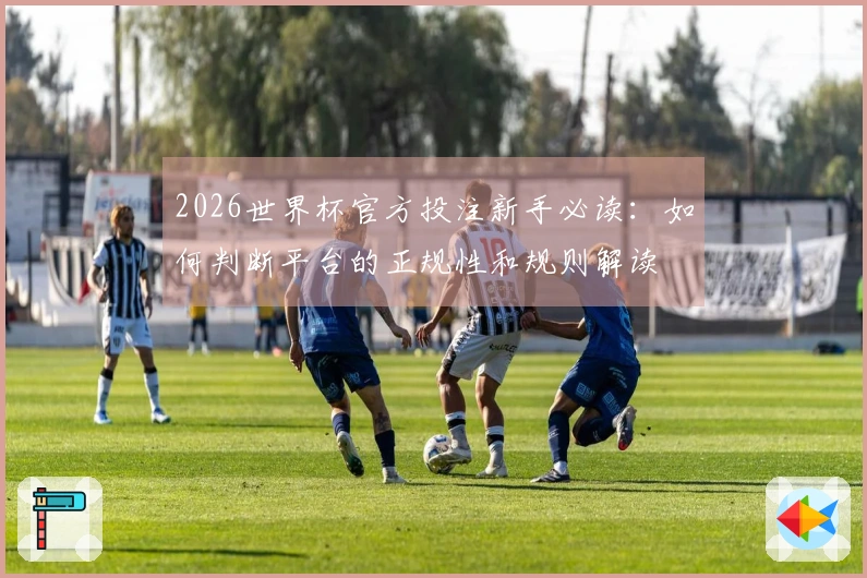 2026世界杯官方投注新手必读：如何判断平台的正规性和规则解读